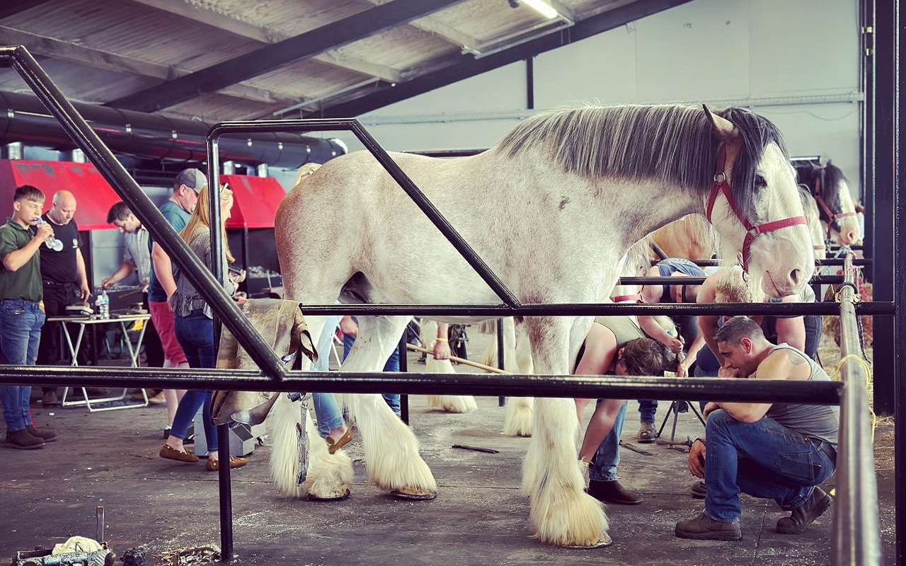 Royal Highland Show